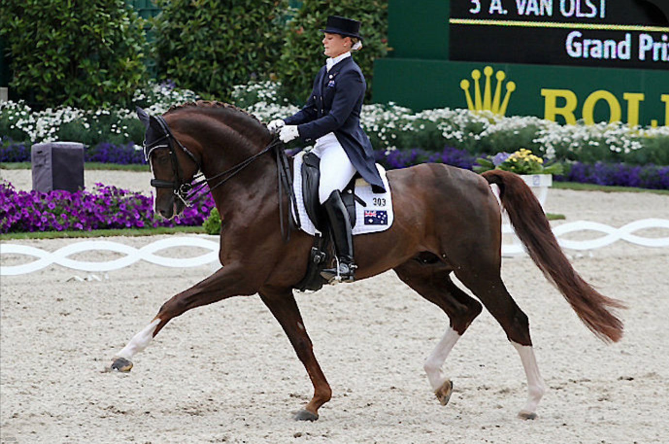 Belissimo M - Dressage Stallion